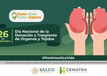 ¿Cómo va la donación de órganos y tejidos en México? te decimos