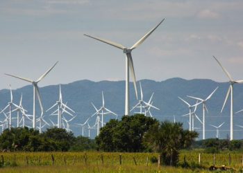 Fueron 10 años de juicio para que se otorgara la nulidad de los contratos para los parques eólicos: López