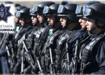 ¿Sabes que es la seguridad pública?