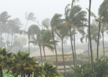 México podría ser impactado por otro ciclón tropical, ya que la temporada aún no termina