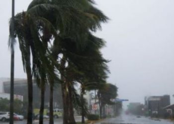 Biden aprueba declaración de emergencia en este estado por tormenta tropical