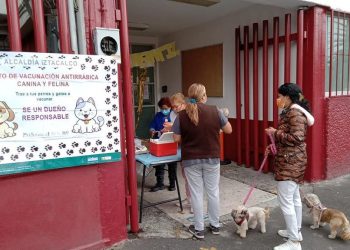 Inicia jornada de vacunación antirrábica para perros y gatos en la CDMX