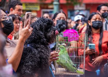 Bendicen a más de 300 mascotas para protegerlos del peligro y la desgracia