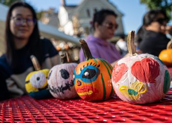 Regresa el festival de calabazas, conócelo