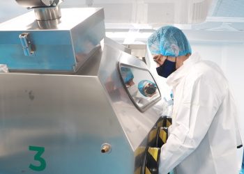 Autoridades mexicanas detectan caso de influenza aviar en aves silvestres