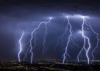 Científicos descubren que estos insectos pueden producir carga eléctrica atmosférica