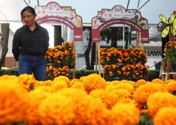 Paseo de la Reforma recibe al Festival de Flores de Cempasúchil, aquí te decimos las fechas