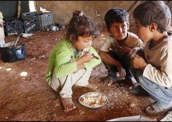 Alerta ONU sobre crisis alimentaria mundial sin precedentes