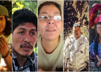 Hay una impunidad generalizada sobre los defensores ambientales: Castañeda