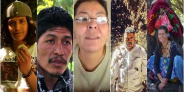 Hay una impunidad generalizada sobre los defensores ambientales: Castañeda