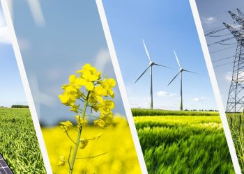 ONU urge a duplicar las energías alternativas globales antes de 2030