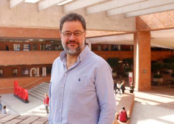 Hay un colapso en la autoridad civil que le impide resolver los problemas de seguridad, advierte especialista