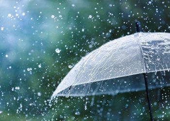 En los próximos días se espera un temporal de lluvias intensas a torrenciales en estos estados