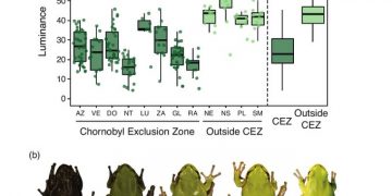 ¿Anfibios mutantes? Esto es lo que sabemos