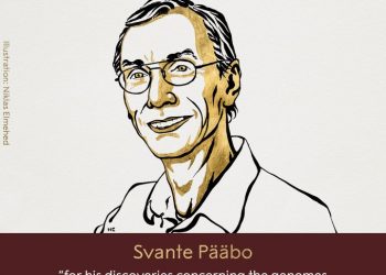 Nobel de Medicina para Pääbo por sus descubrimientos sobre el genoma