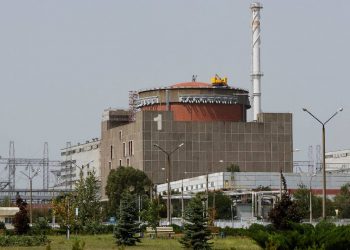 OIEA confirmó la detención de este funcionario de la planta nuclear de Zaporiyia