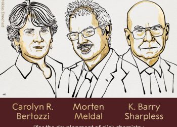 Nobel de Química a herramientas para construir moléculas