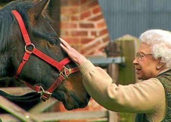 Carlos III venderá caballos de su madre