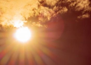 Calentamiento global podría poner en riesgo la vida de estas especies animales