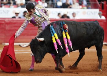 La violencia hacia los animales no se puede regular: Vargas