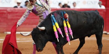 La violencia hacia los animales no se puede regular: Vargas