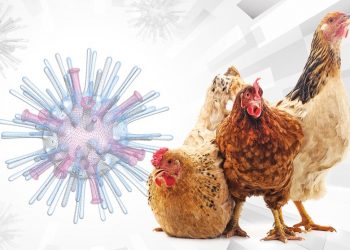Se detecta la circulación del virus de Influenza Aviar en Nuevo León
