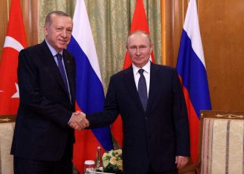 Esto es lo que le propone Putin a Erdogan