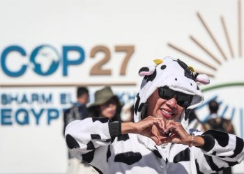 ¿Qué se está buscando en la cumbre de la COP27?  Gómez Pimienta nos cuenta