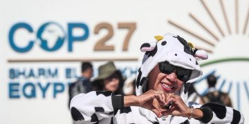 ¿Qué se está buscando en la cumbre de la COP27?  Gómez Pimienta nos cuenta