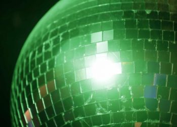 Estos animales captan el ritmo de la música y también mueven la cabeza