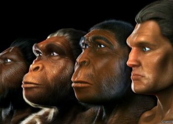 Hoy es el Día Mundial de la Evolución