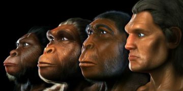 Hoy es el Día Mundial de la Evolución