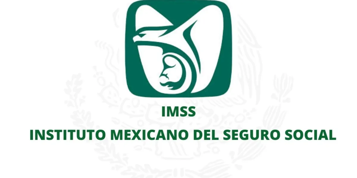 El Imss Logra Ganancias Por Más De 12 Millones De Pesos Enfoque Noticias 5462