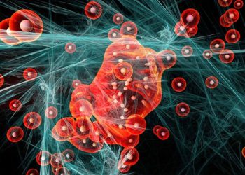 Descubren molécula capaz de prevenir la leucemia