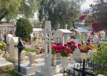 Pese a los altos precios, los consumidores adquieren flores de temporada para adornar tumbas
