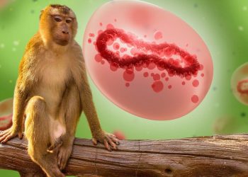 La viruela del mono podría transmitirse también por vía aérea