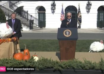 Chocolate y Chip, pavos indultados por Biden