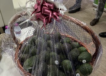 Inicio la exportación de aguacate mexicano a Catar