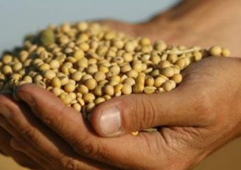 Asegura la ONU que la inseguridad alimentaria afecta a más de 10 millones de latinoamericanos