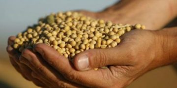 Asegura la ONU que la inseguridad alimentaria afecta a más de 10 millones de latinoamericanos