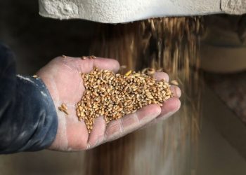 Reino Unido, Estados Unidos y la Unión Europea defienden medidas frente a la crisis alimentaria global