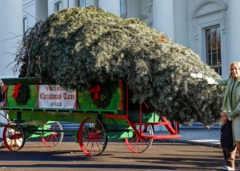 Casa Blanca recibe árbol de Navidad