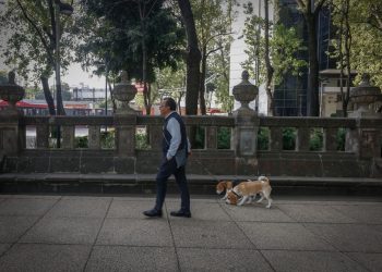 ¿Sabes cuánto costo la rehabilitación de monumentos e inmobiliario histórico de Paseo de la Reforma?