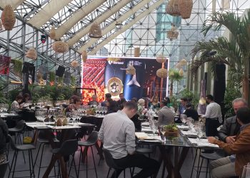 ¿Buscas vinos de prestigio para tus reuniones familiares? Aquí te dejamos unas opciones
