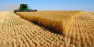 Rusia reactiva pacto para exportar cereales de Ucrania