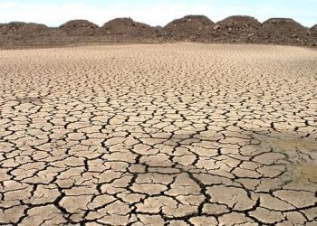 Estas fueron las advertencias de científicos en la COP27 sobre el cambio climático