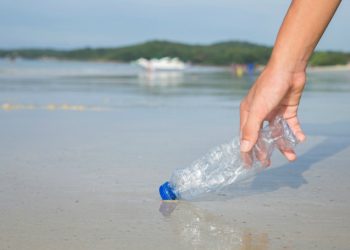 La contaminación por microplásticos amenaza las lagunas costeras del planeta