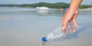 La contaminación por microplásticos amenaza las lagunas costeras del planeta