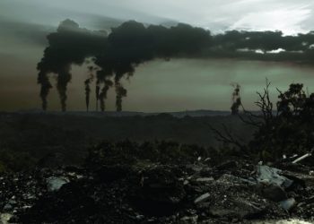 Esto es lo que hace falta para combatir los delitos medioambientales, según la ONU