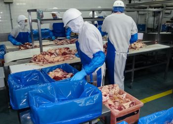 México importará carne de res de este país